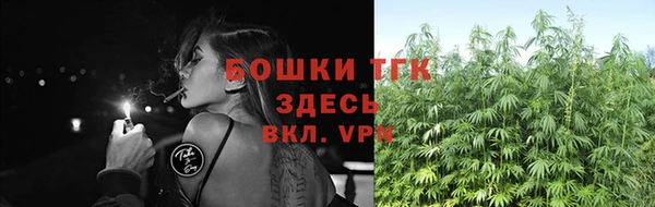 apvp Осинники