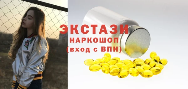 гидра Богданович