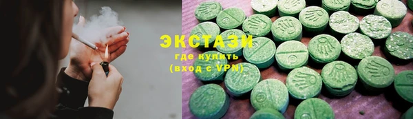 гидра Богданович