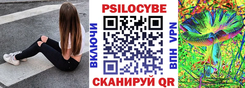 Псилоцибиновые грибы Cubensis  Медногорск 